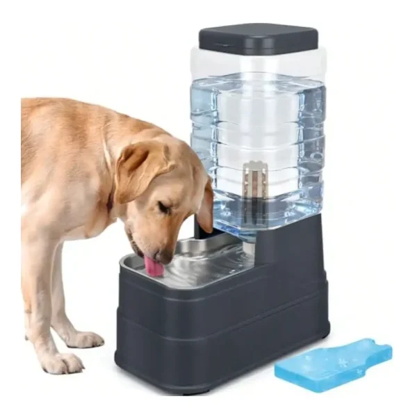 Large Capacity Automatic Pet Water Dispenser