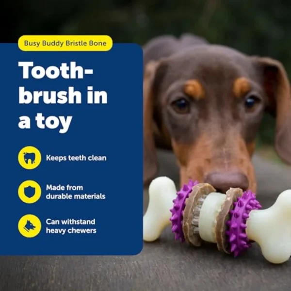 Durable Treat-Holding Dog Dental Chew Toy