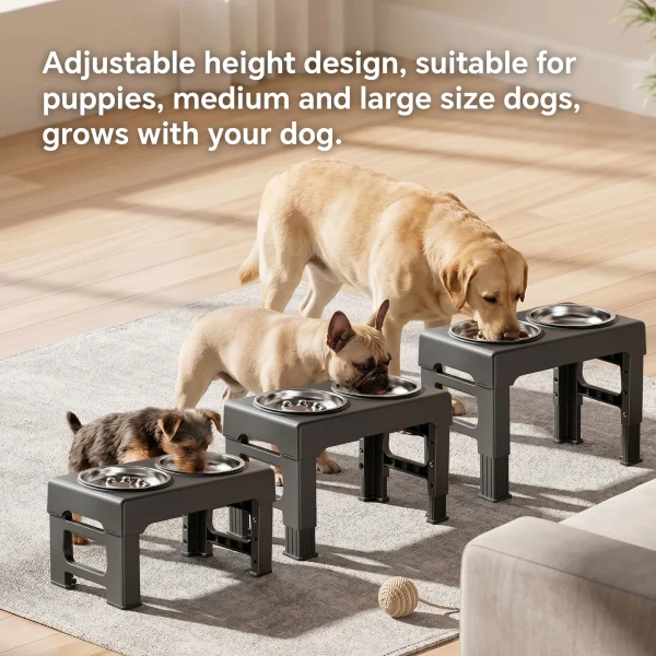 Elevated Non-Slip Stainless Steel Dog Feeder